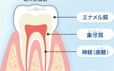虫歯にもステージがあるのはご存知ですか？🦷