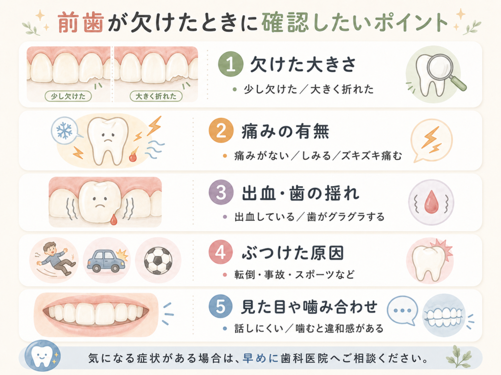 前歯が欠けたときに確認したいポイントを示した図解