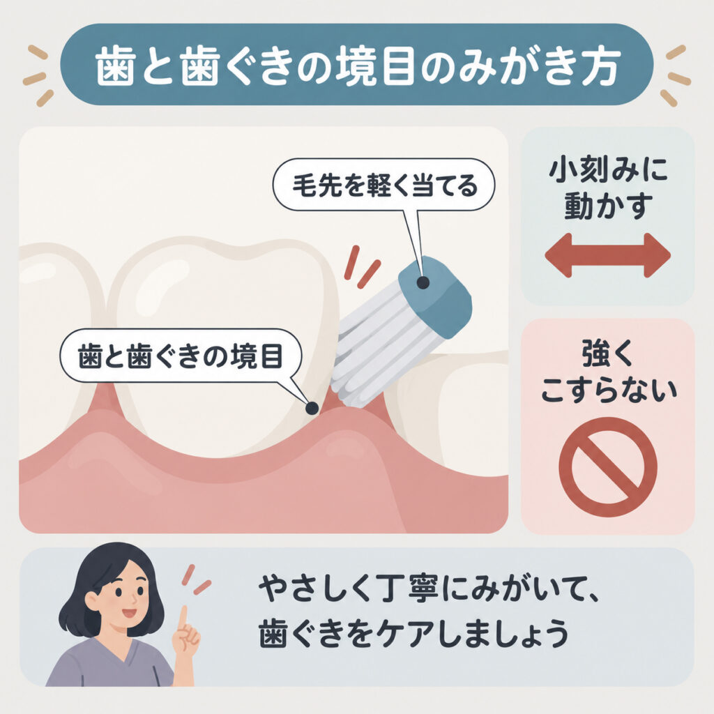 歯と歯茎の境目の磨き方
